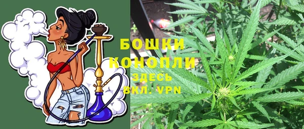 бошки Заводоуковск