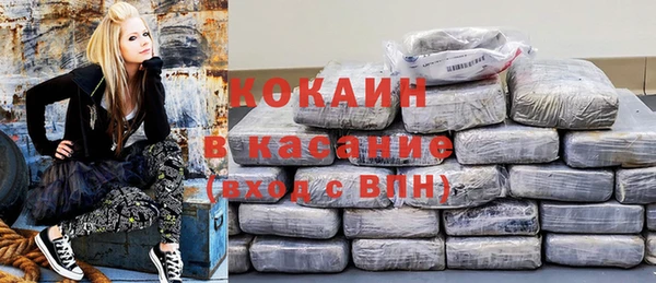 ПСИЛОЦИБИНОВЫЕ ГРИБЫ Сатка