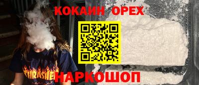 стаф Дубна