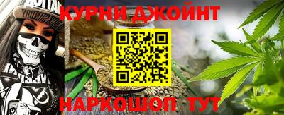 стаф Дубна