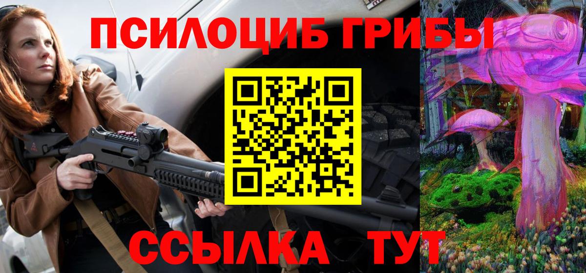Псилоцибиновые грибы мухоморы Звенигород