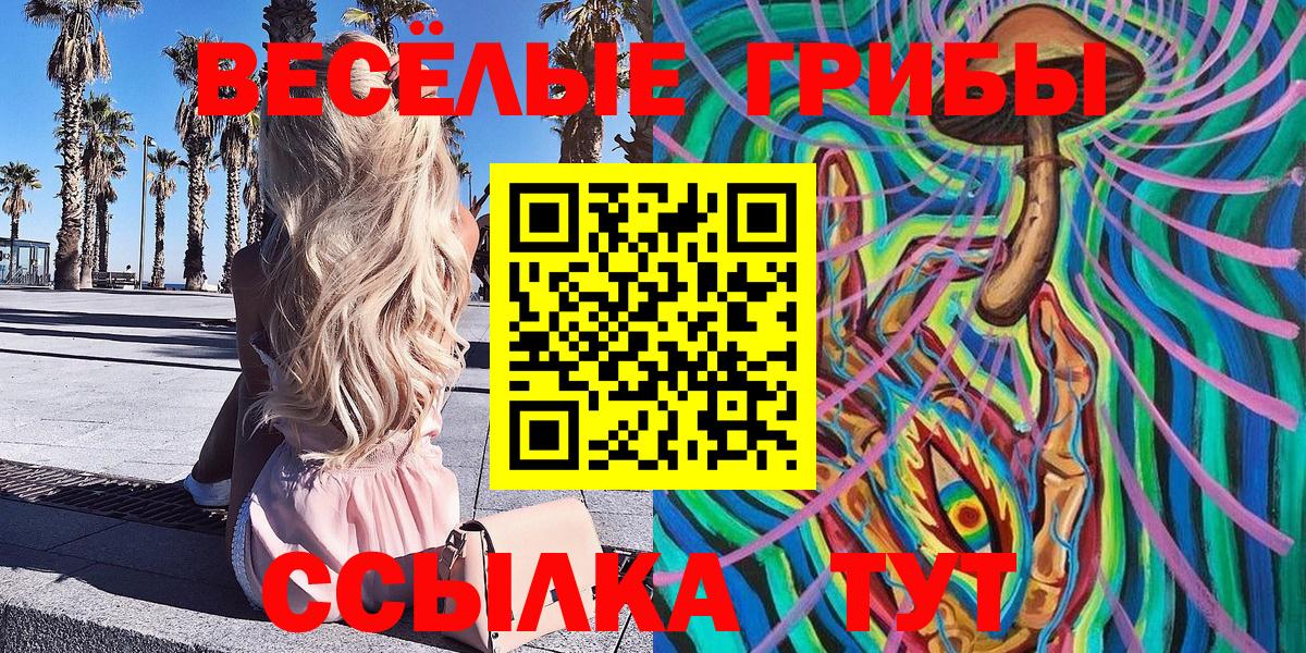 Звенигород  Галлюциногенные грибы Cubensis  Вход с VPN 